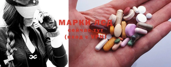 индика Богородицк
