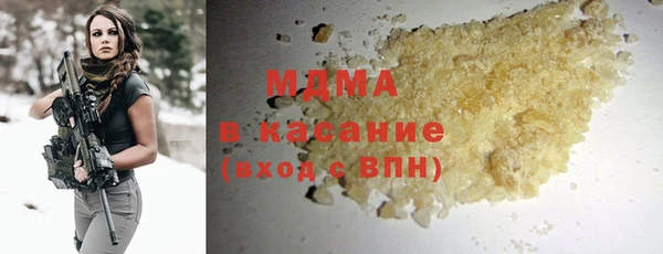 индика Богородицк
