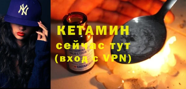 индика Богородицк