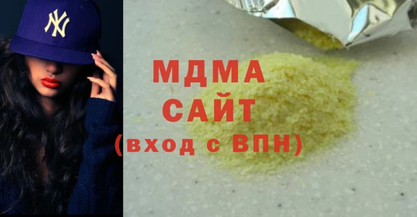 индика Богородицк
