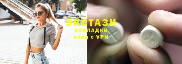 индика Богородицк