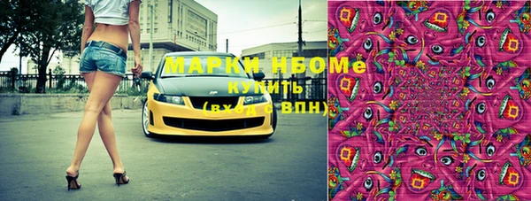 индика Богородицк