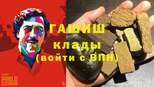 индика Богородицк
