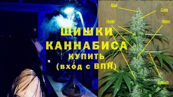 индика Богородицк