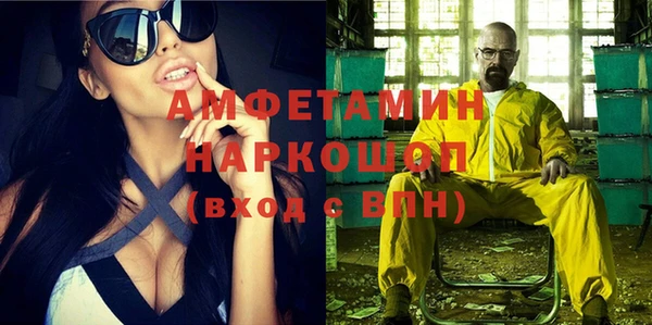 индика Богородицк