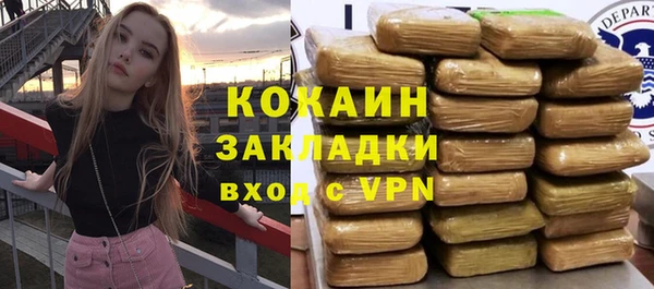 индика Богородицк