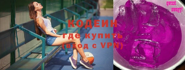 индика Богородицк