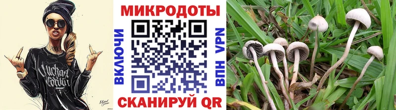 Галлюциногенные грибы Psilocybine cubensis  blacksprut tor  Торжок 